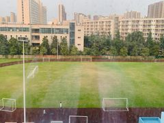 -和达·悦自由体育公园