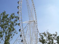 摩天轮-祥源·阜阳生态乐园