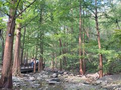 -国家植物园南园