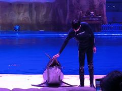 -华夏文旅海洋公园