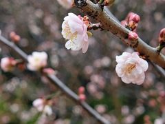 -草庵摩尼教遗址公园
