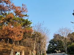 -青岛德国总督楼旧址博物馆