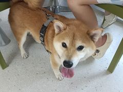 -omitofee咖啡(水泽店)