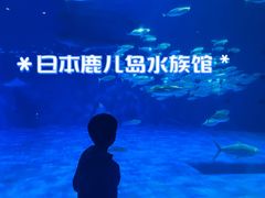 -鹿儿岛水族馆