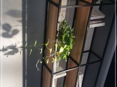 -简小姐·上海餐厅(长城大厦店)