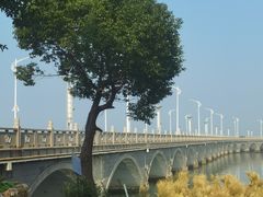-美味之家·湖景农家乐(太湖东山店)