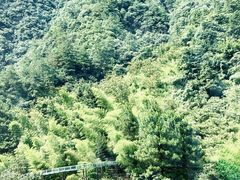 -龙井峡漂流