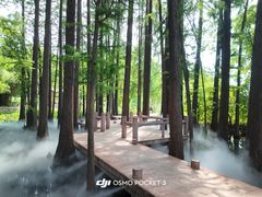 -东湖落雁景区