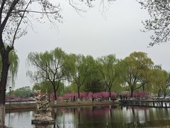 -石家庄市植物园