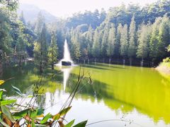 -广州市帽峰山景区
