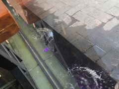 -印象江南(东栅店)