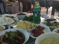 -顺鑫绿色度假村
