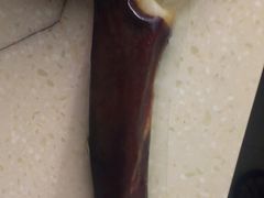 -得心斋(文华北路店)