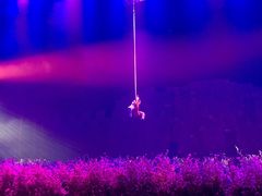 -济南方特东方神画