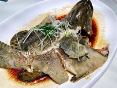清蒸石斑鱼-鱼乐轩·俄罗斯海鲜直供餐厅(群力店)