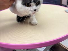 -FAELING PETS美天灵宠物(富力广场店)