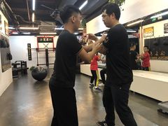 -温鉴良实用咏春拳