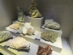-河南自然博物馆