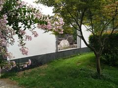 -洛阳市隋唐城遗址植物园
