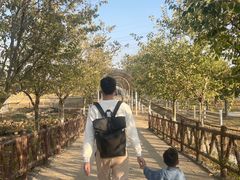 -盈香心动乐园