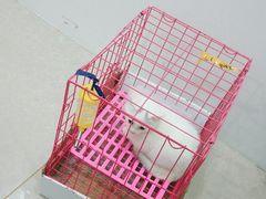 -佳雯宠物医院·皮肤科·内外科(春晓路分院)