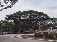 -珍宝海鲜(东海岸海鲜中心)