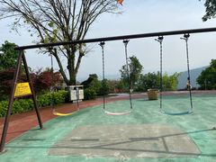 -铁山坪森林公园