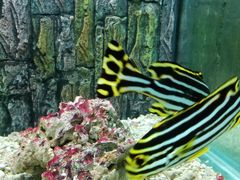 -北戴河圣蓝海洋公园