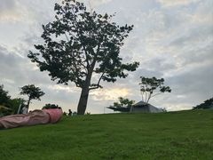 -白石龙音乐公园