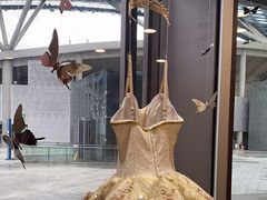 -邓肯舞蹈教育(深圳湾教学中心)