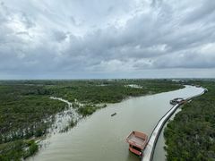 -东寨港红树林旅游区