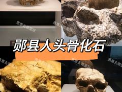 -湖北省博物馆