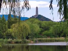 -北坞公园