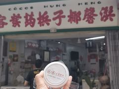 -洪馨椰子