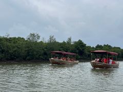 -东寨港红树林旅游区