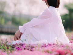 -大塘金香草谷