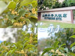 -山明水秀大饭店