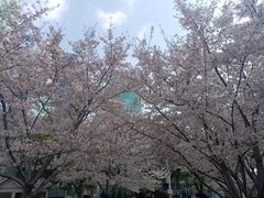 -西北湖绿化广场