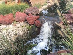 -武清南湖绿博园