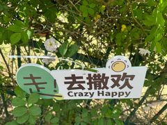 -南京眼步行桥