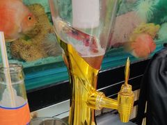 -胖姐烧烤(总店)