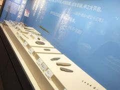 -大连金州博物馆