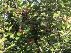 -并州饭店-中餐厅