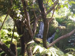 -Chom Cafe and Restaurant