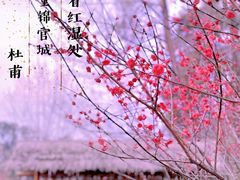 -成都杜甫草堂博物馆
