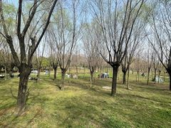 -洨河生态公园