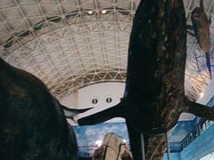 -大连自然博物馆·地球展厅