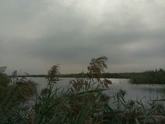 -大港湿地公园