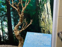 -延庆地质公园博物馆
