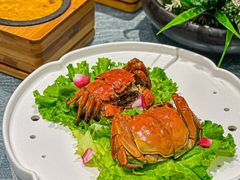 -望乡楼上海菜(日月光店)